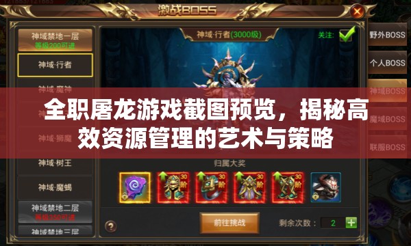 全职屠龙游戏截图预览，揭秘高效资源管理的艺术与策略