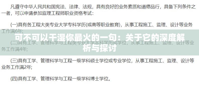 可不可以干湿你最火的一句：关于它的深度解析与探讨