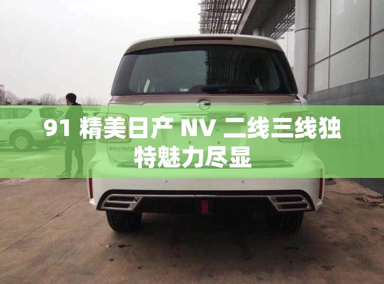 91 精美日产 NV 二线三线独特魅力尽显