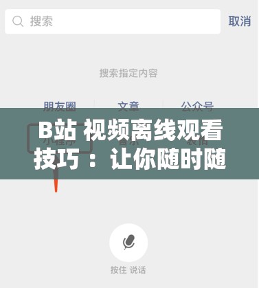 B站 视频离线观看技巧 ：让你随时随地畅享精彩内容