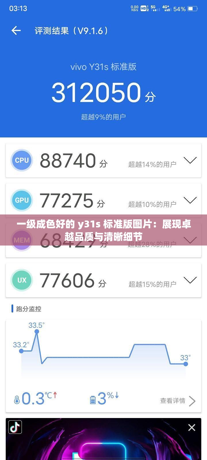 一级成色好的 y31s 标准版图片：展现卓越品质与清晰细节