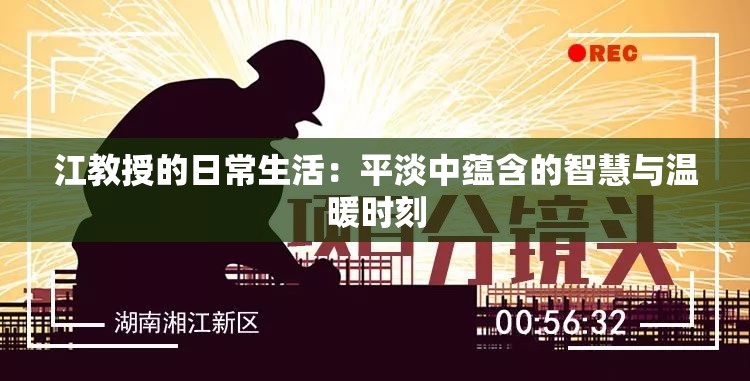 江教授的日常生活：平淡中蕴含的智慧与温暖时刻