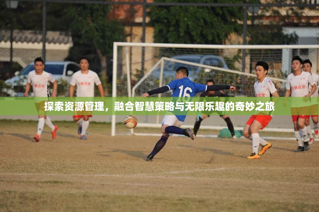 探索资源管理，融合智慧策略与无限乐趣的奇妙之旅