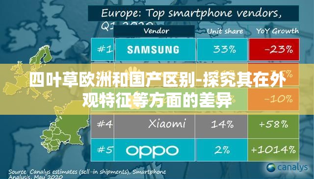 四叶草欧洲和国产区别-探究其在外观特征等方面的差异