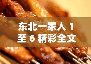 东北一家人 1 至 6 精彩全文阅读不容错过