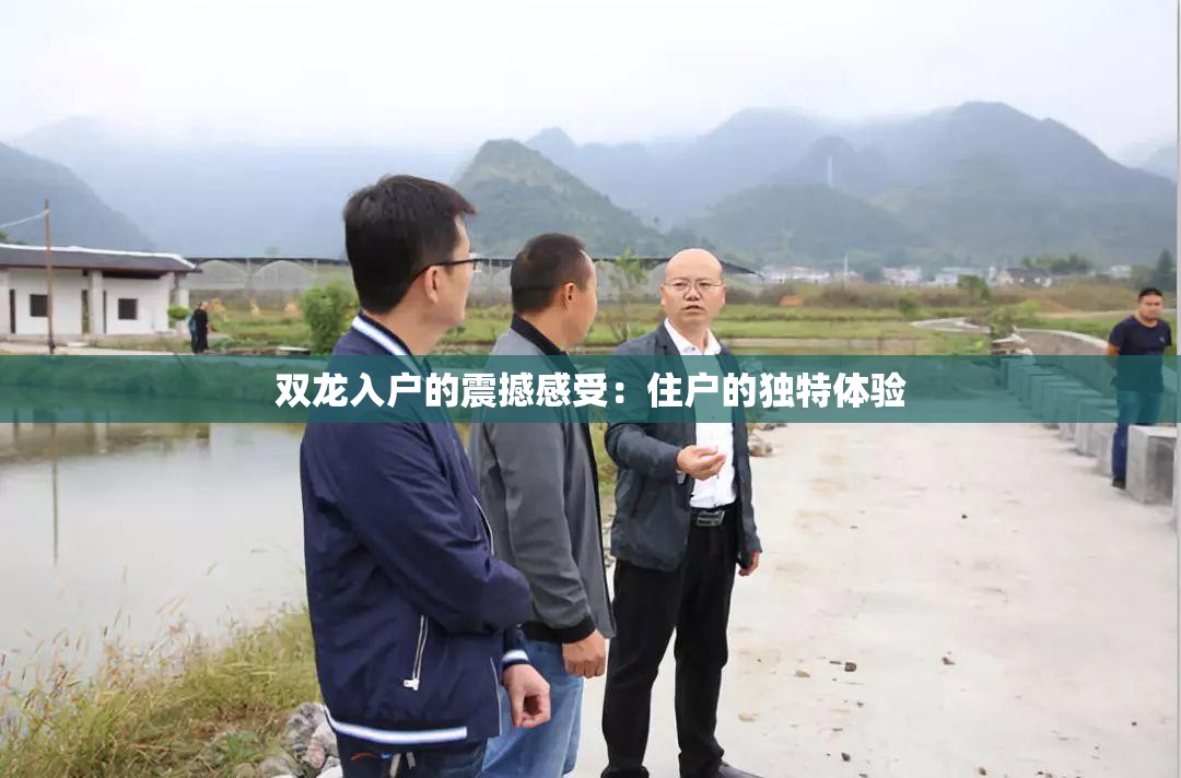 双龙入户的震撼感受：住户的独特体验