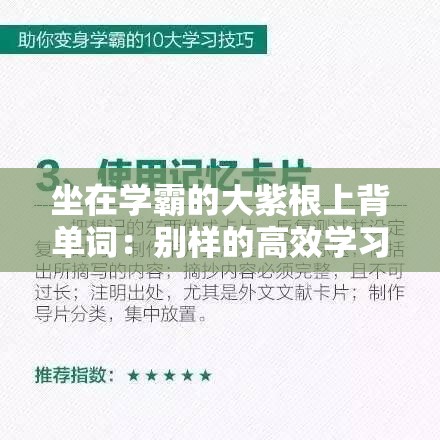 坐在学霸的大紫根上背单词：别样的高效学习体验