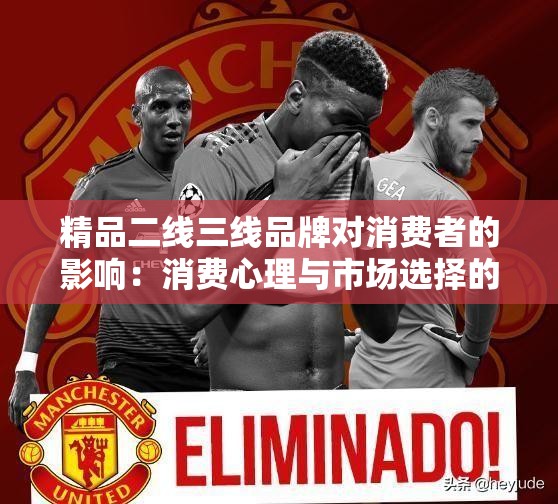 精品二线三线品牌对消费者的影响：消费心理与市场选择的探究