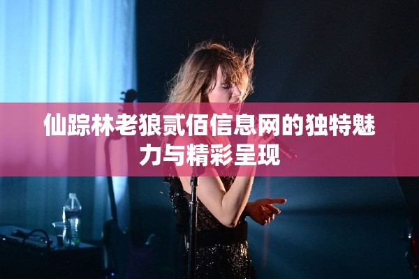 仙踪林老狼贰佰信息网的独特魅力与精彩呈现