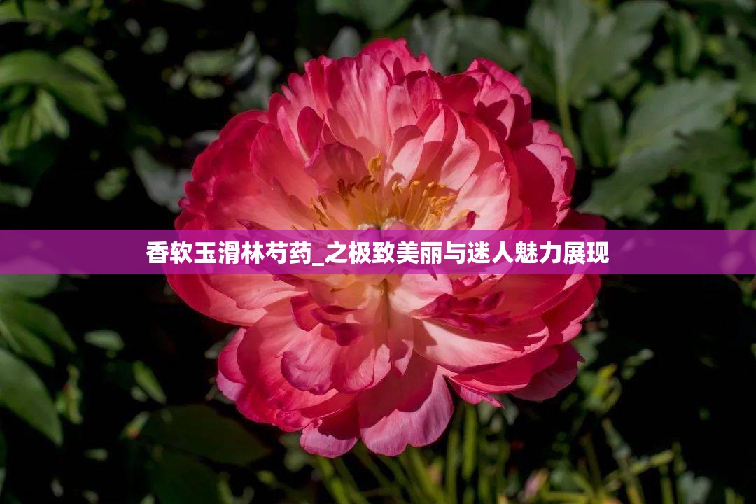 香软玉滑林芍药_之极致美丽与迷人魅力展现
