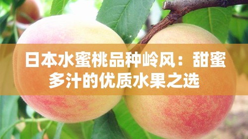 日本水蜜桃品种岭风：甜蜜多汁的优质水果之选