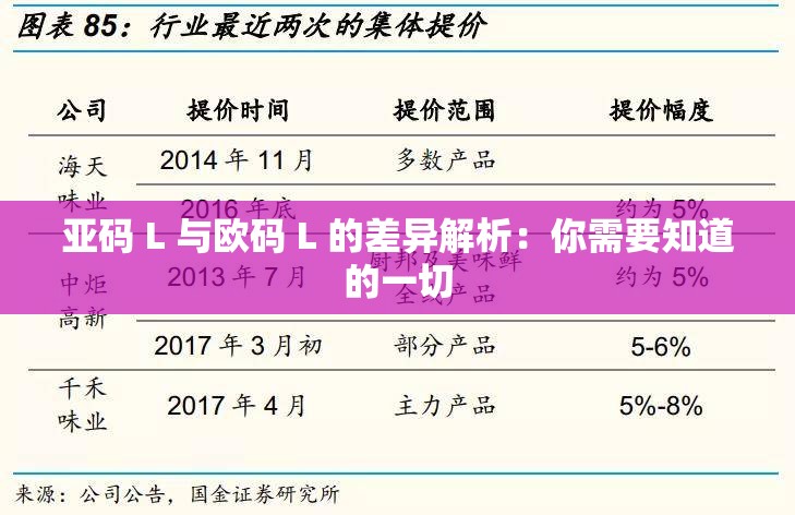 亚码 L 与欧码 L 的差异解析：你需要知道的一切