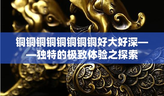 铜铜铜铜铜铜铜铜好大好深——独特的极致体验之探索