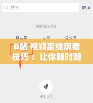 B站 视频离线观看技巧 ：让你随时随地畅享精彩内容