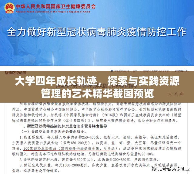大学四年成长轨迹，探索与实践资源管理的艺术精华截图预览