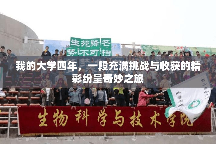 我的大学四年，一段充满挑战与收获的精彩纷呈奇妙之旅