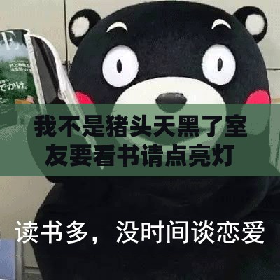 我不是猪头天黑了室友要看书请点亮灯泡：快来帮忙呀