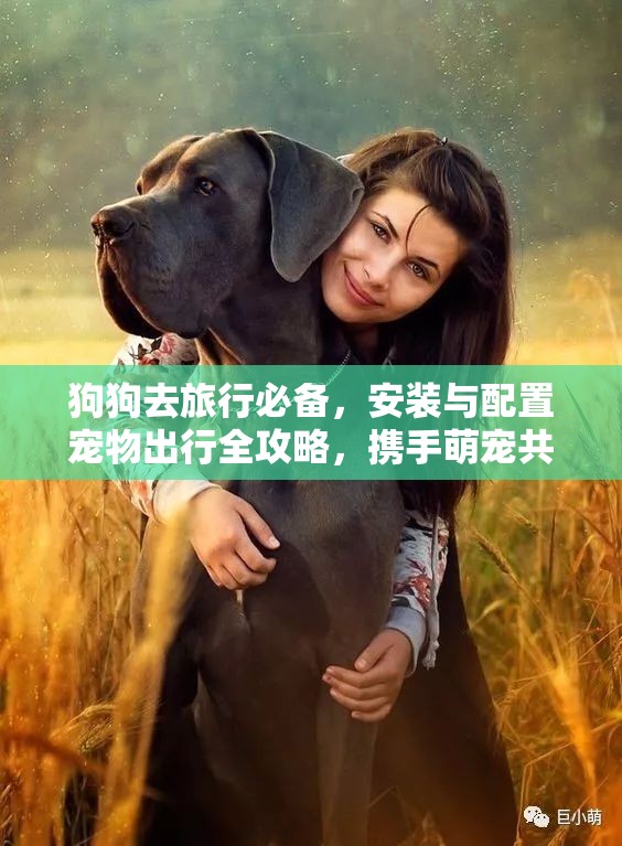 狗狗去旅行必备，安装与配置宠物出行全攻略，携手萌宠共探世界美景