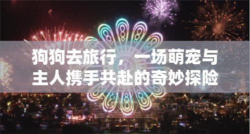 狗狗去旅行，一场萌宠与主人携手共赴的奇妙探险之旅