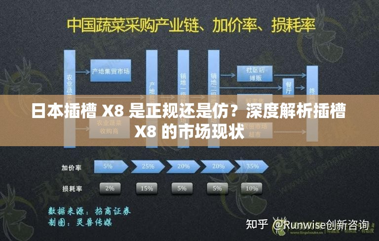 日本插槽 X8 是正规还是仿？深度解析插槽 X8 的市场现状