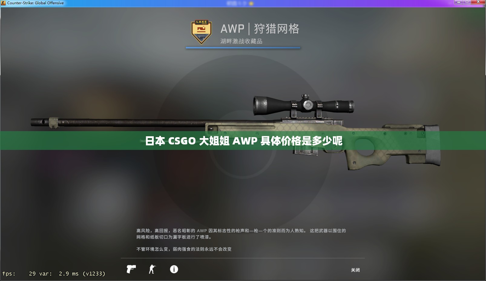 日本 CSGO 大姐姐 AWP 具体价格是多少呢