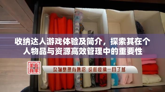 收纳达人游戏体验及简介，探索其在个人物品与资源高效管理中的重要性