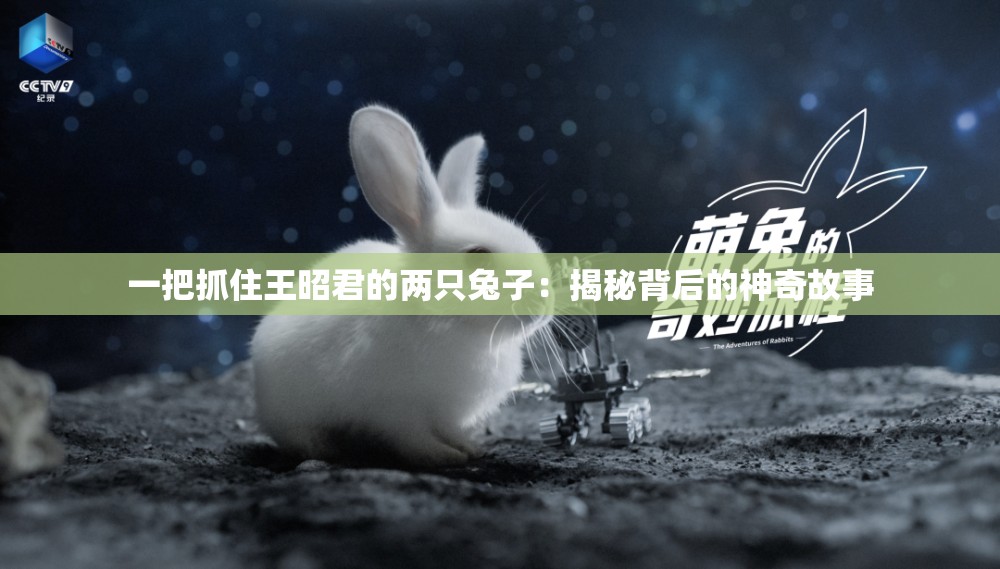一把抓住王昭君的两只兔子：揭秘背后的神奇故事