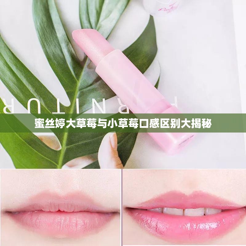 蜜丝婷大草莓与小草莓口感区别大揭秘