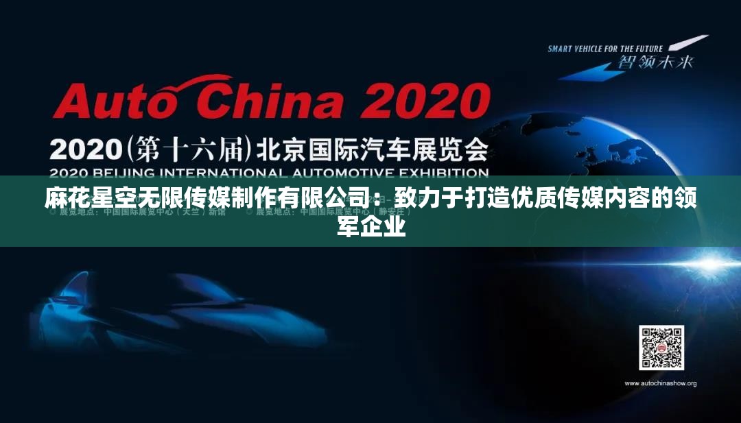 麻花星空无限传媒制作有限公司：致力于打造优质传媒内容的领军企业