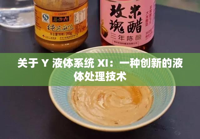 关于 Y 液体系统 XI：一种创新的液体处理技术