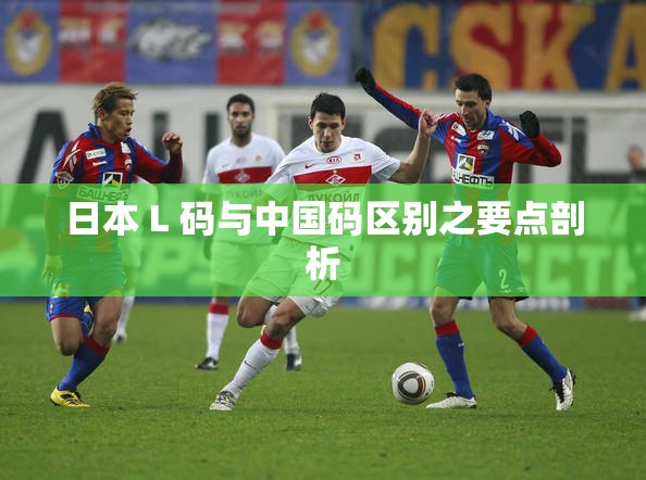 日本 L 码与中国码区别之要点剖析