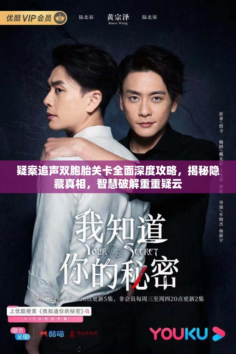 疑案追声双胞胎关卡全面深度攻略，揭秘隐藏真相，智慧破解重重疑云