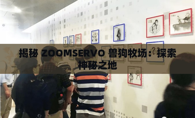揭秘 ZOOMSERVO 兽狗牧场：探索神秘之地