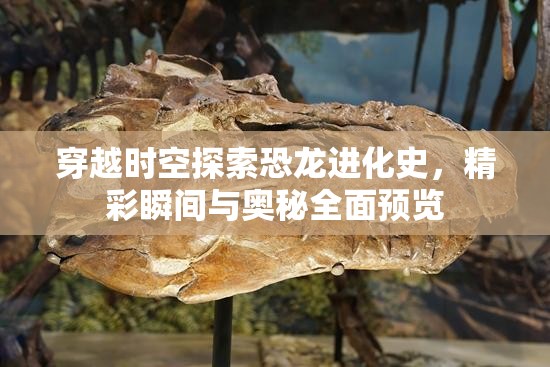 穿越时空探索恐龙进化史，精彩瞬间与奥秘全面预览