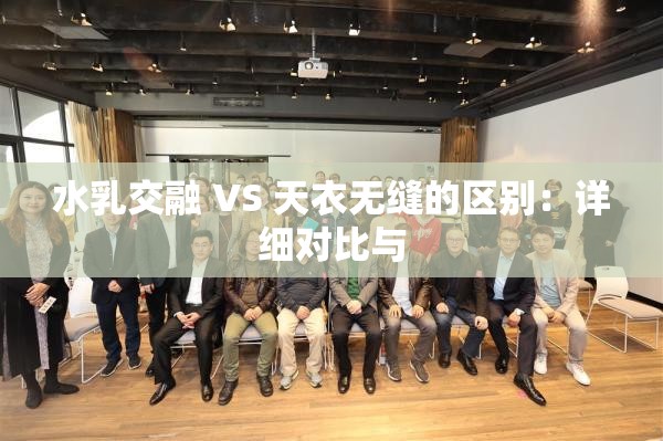 水乳交融 VS 天衣无缝的区别：详细对比与