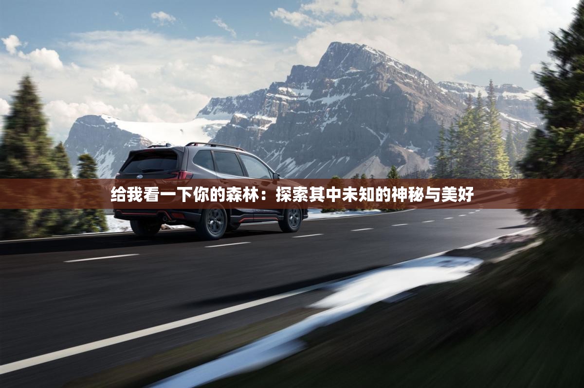 给我看一下你的森林：探索其中未知的神秘与美好