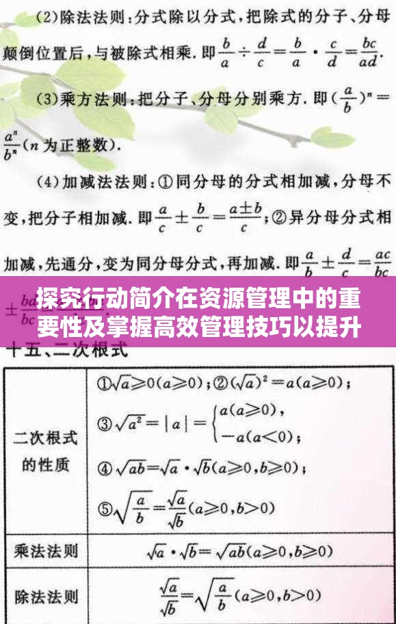 探究行动简介在资源管理中的重要性及掌握高效管理技巧以提升行动乐趣