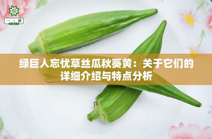 绿巨人忘忧草丝瓜秋葵黄：关于它们的详细介绍与特点分析