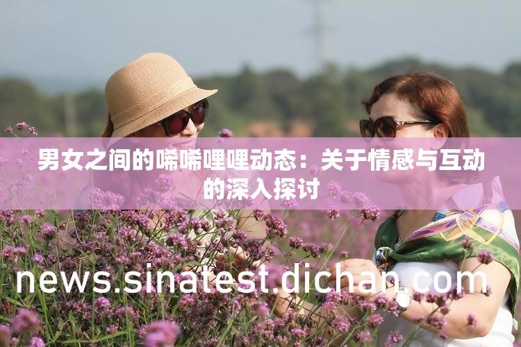 男女之间的唏唏哩哩动态：关于情感与互动的深入探讨