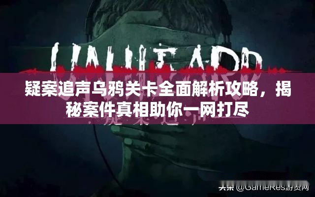 疑案追声乌鸦关卡全面解析攻略，揭秘案件真相助你一网打尽