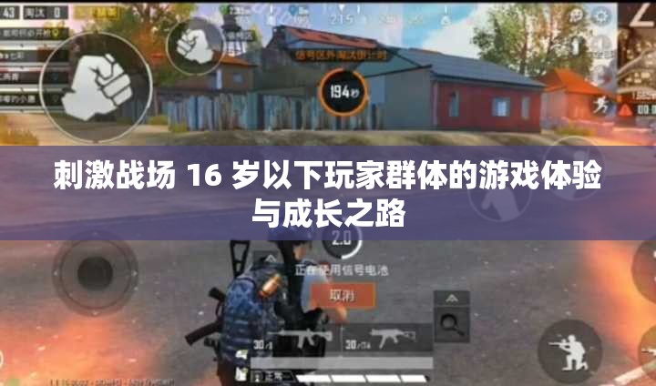 刺激战场 16 岁以下玩家群体的游戏体验与成长之路
