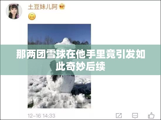 那两团雪球在他手里竟引发如此奇妙后续
