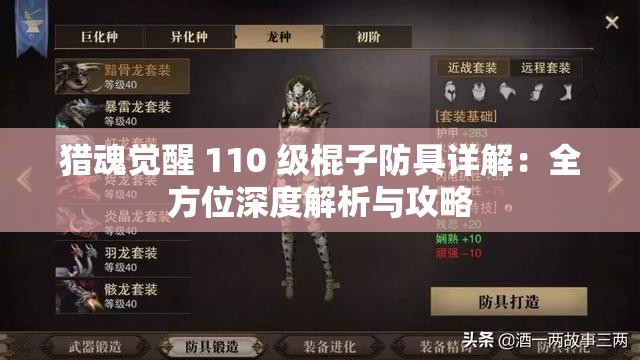 猎魂觉醒 110 级棍子防具详解：全方位深度解析与攻略