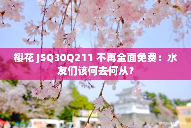 樱花 JSQ30Q211 不再全面免费：水友们该何去何从？