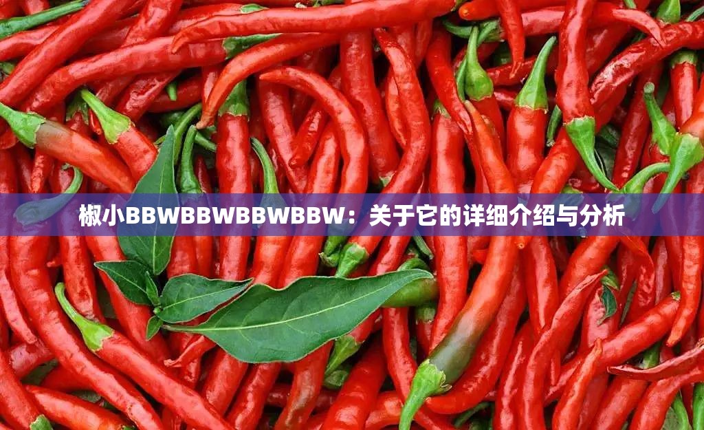 椒小BBWBBWBBWBBW：关于它的详细介绍与分析