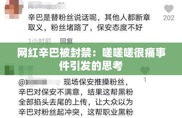 网红辛巴被封禁：嗟嗟嗟很痛事件引发的思考