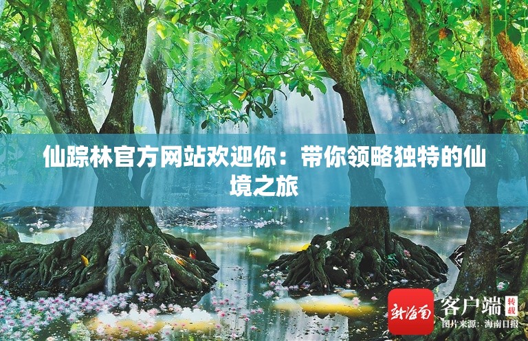 仙踪林官方网站欢迎你：带你领略独特的仙境之旅
