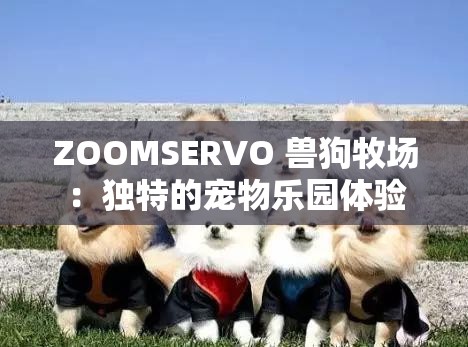 ZOOMSERVO 兽狗牧场：独特的宠物乐园体验