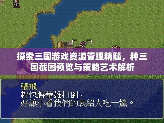 探索三国游戏资源管理精髓，种三国截图预览与策略艺术解析