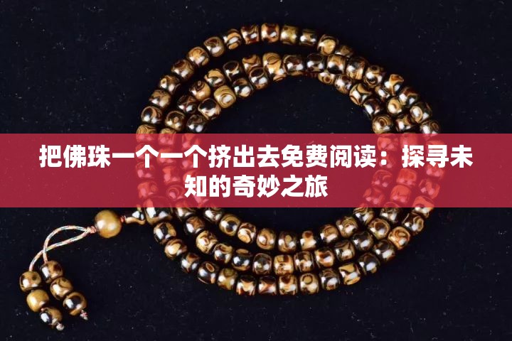 把佛珠一个一个挤出去免费阅读：探寻未知的奇妙之旅